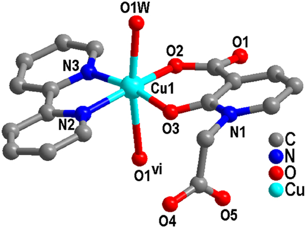 Figure 1: 
Coordination center of Cu(II) in complex (1) (Symmetric codes: vi 1 − x, −y, −z).
