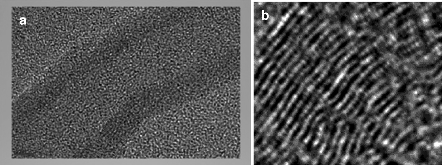 Figure 7: TEM image of nanotubes (a) with concentric tubes (b) grown on Co/Al2O3/urea.