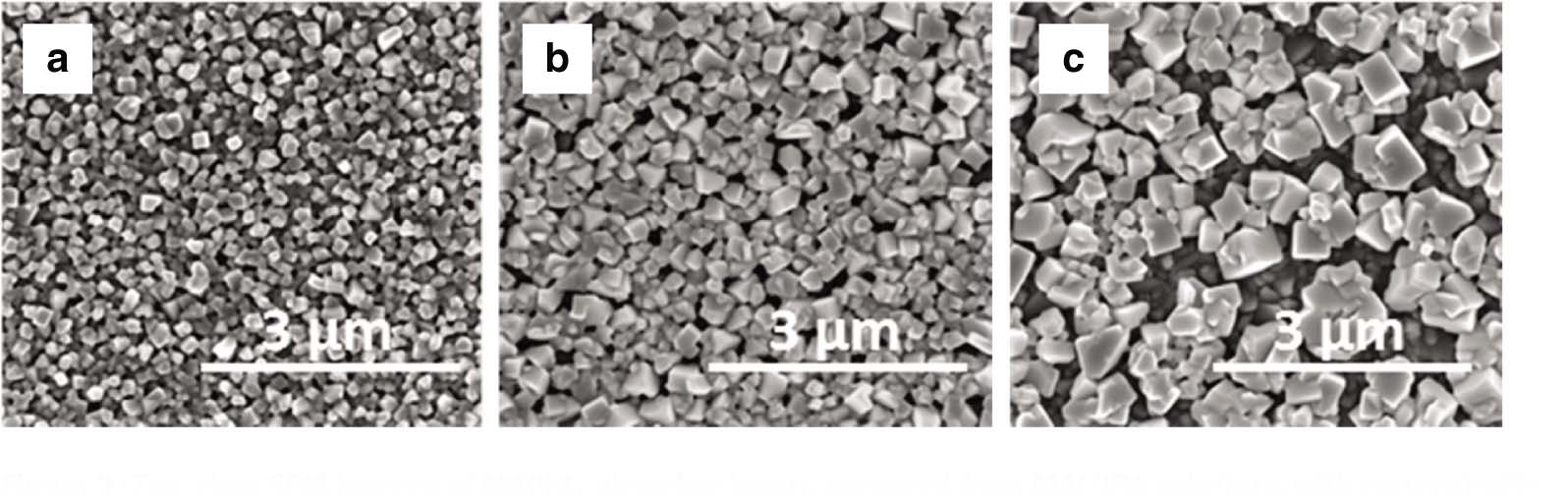 Figure 2: Top-view SEM images of MAPbI3 absorber layers prepared from MAI/IPA solutions with concentrations of (a) 12.5, (b) 10.0, and (c) 7.5 mg/mL, respectively.