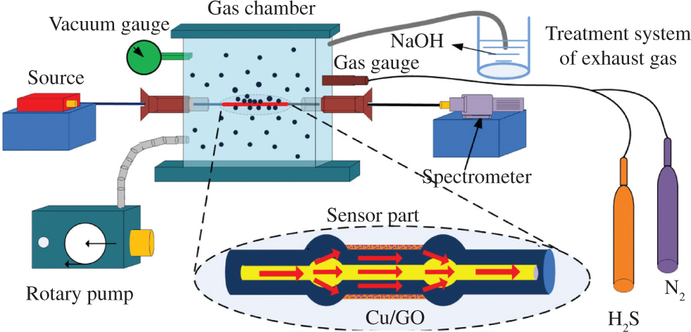 Figure 1: Schematic diagram of the experimental setup.
