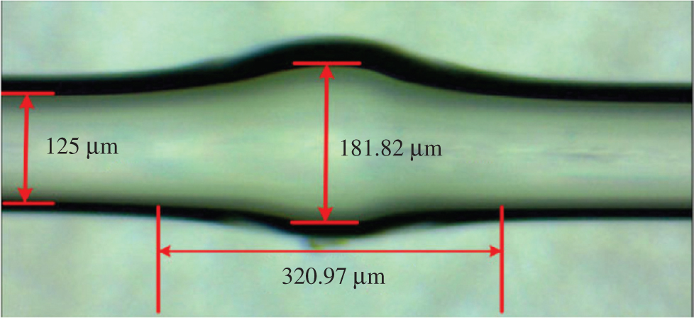 Figure 2: Diagram of spliced region.