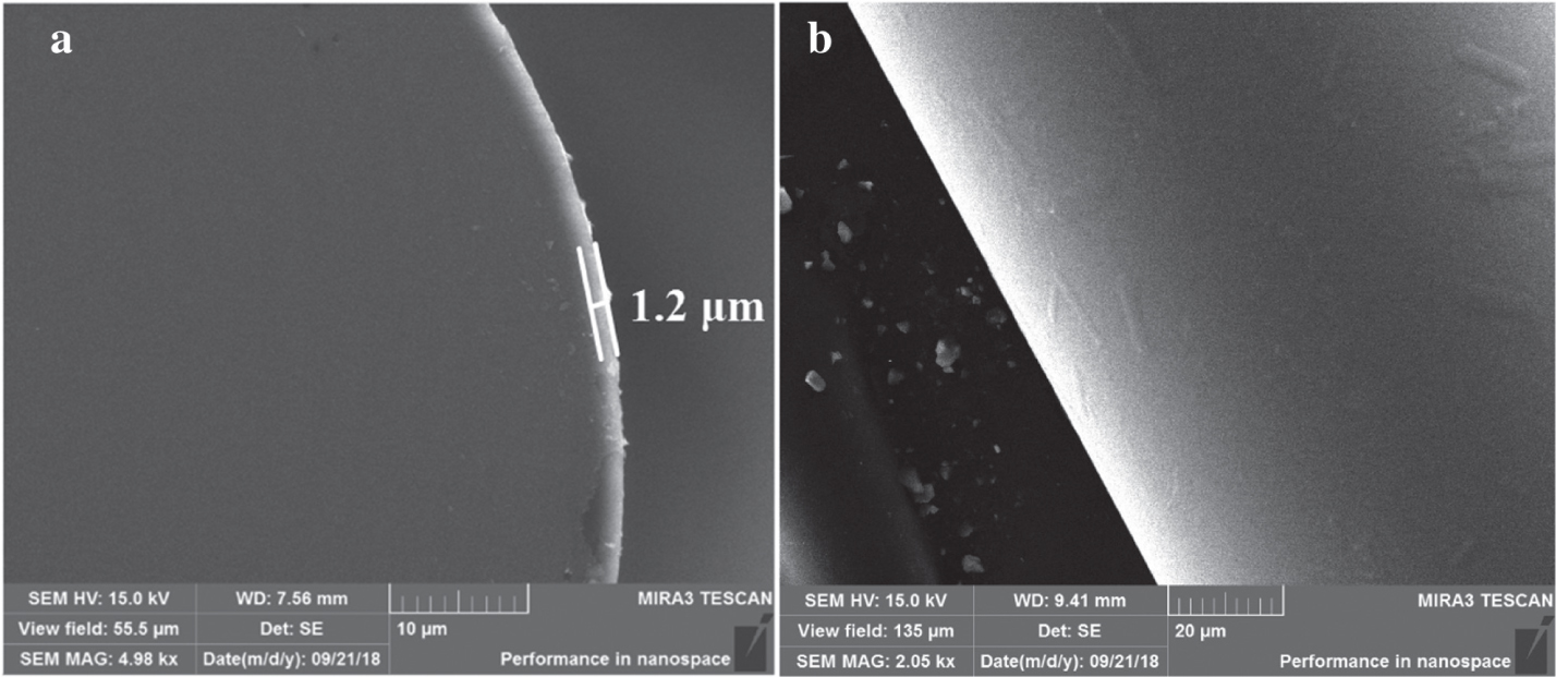 Figure 3: Scanning electron miscroscopy images of (a) the cross section and (b) the side surface of single-mode fibres after coating.