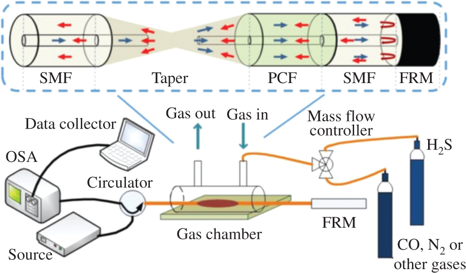 Figure 1: Schematic diagram of the experimental setup. The inset shows the fibre-optic Michelson structure.