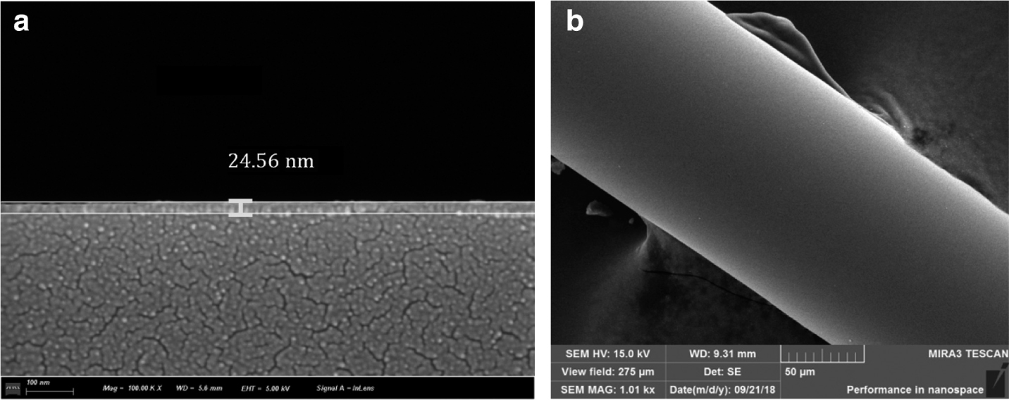 Figure 2: The SEM morphology of sensing film: (a) SEM image of the thickness of cross section and (b) SEM image of the side surface.