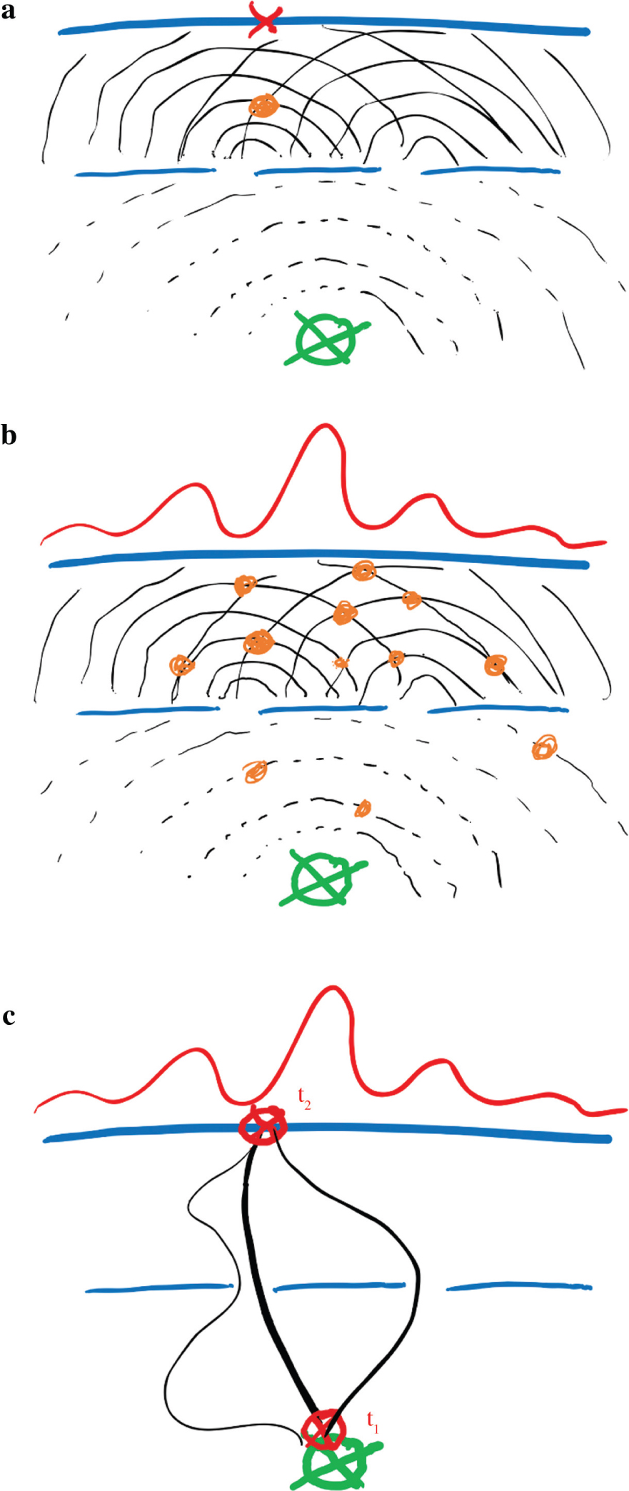 Figure 7: Double-slit experiment: (a) probability wave with one individual particle, (b) probability wave with many particles, and (c) path integral for a single particle trajectory.