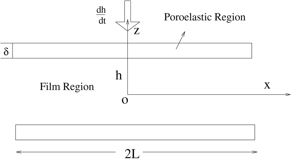 Figure 1: Geometry of the present problem.