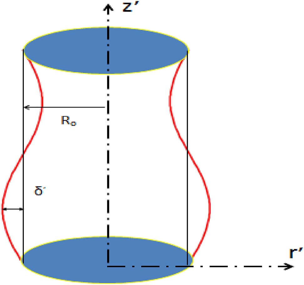 Figure 1: Problem form.