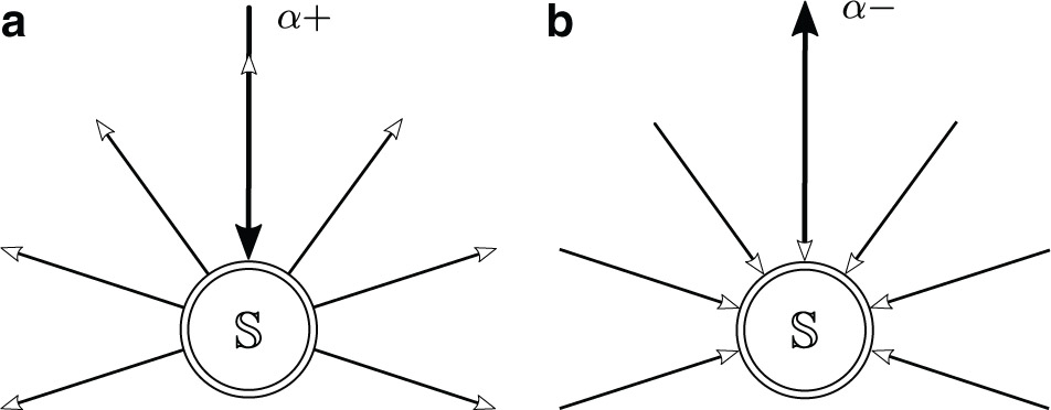 Figure 2: Schematic representation of incoming and outgoing scattering states. (a) The incoming state |φEα+⟩\(|\varphi_{E}^{\alpha+}\rangle\) consists of a plane wave with energy E that approaches the sample in the terminal α and decomposes into N escaping waves with the same energy but smaller amplitude. (b) The outgoing state |φEα−⟩\(|\varphi_{E}^{\alpha-}\rangle\) describes the time-reversed situation, where N approaching waves with the same energy E combine into a single one that escapes through the terminal α, cf. (5).