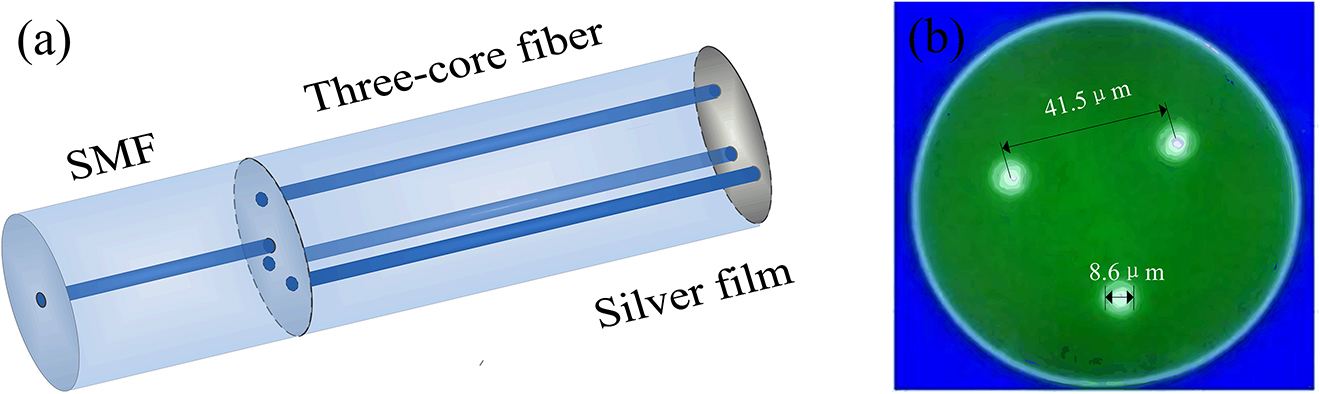 Figure 1: (a) Sensing structure and (b) the end face of TCF.