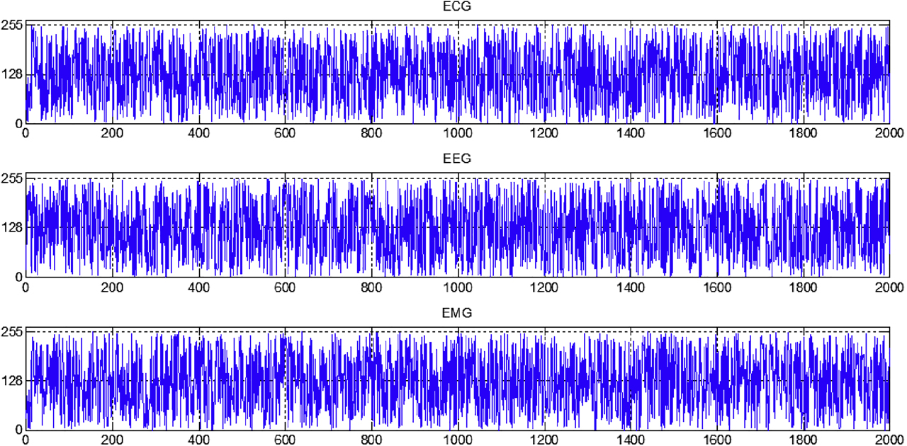 Figure 8: Encrypted electrophysiological signals.