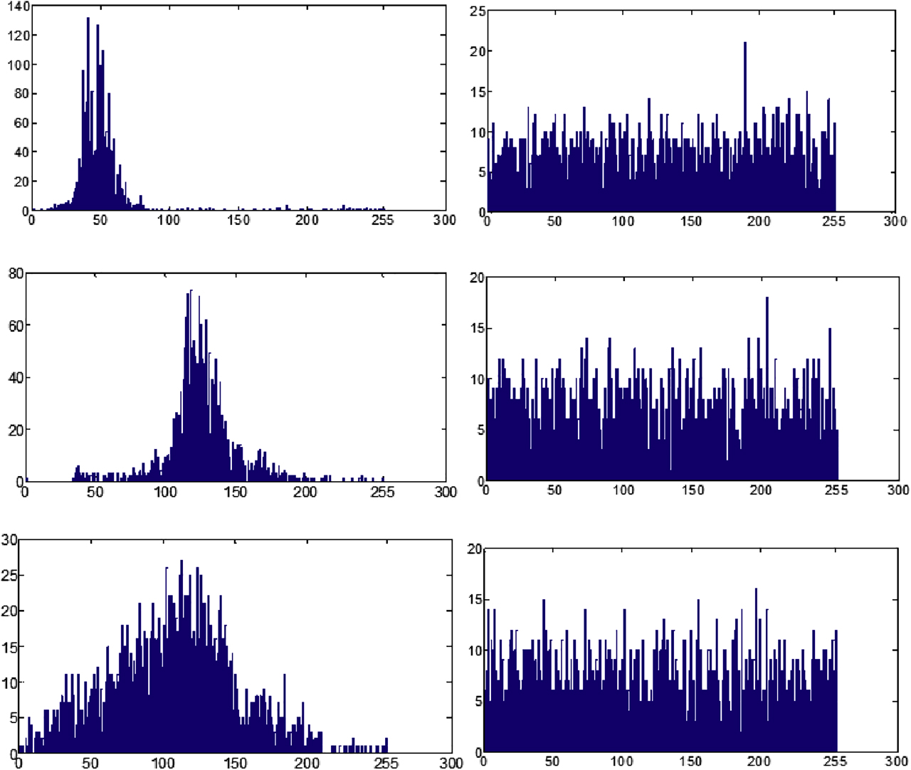 Figure 9: Histogram analysis of original and encrypted ECG, EEG and EMG signals.