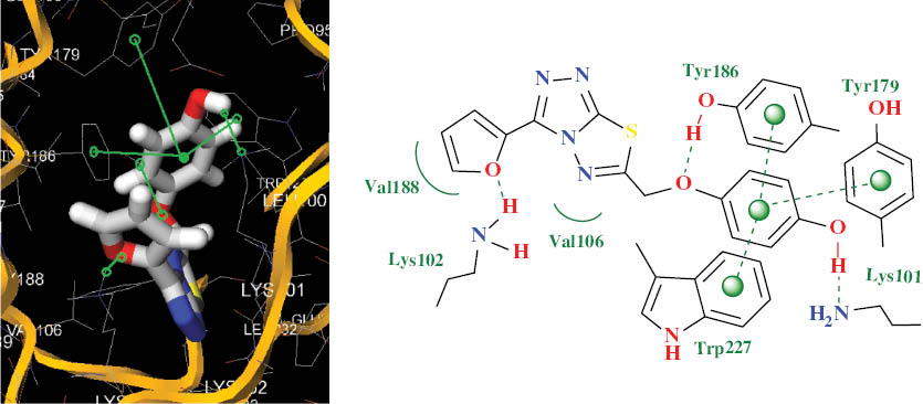 Fig. 4 Compound 4b shows three hydrogen bonds: Lys102 with the oxygen of the furan ring, Lys101 with the OH group of the phenyl group and Tyr186 with the oxygen atom of the benzyl group. In addition, hydrophobic interactions between of the phenyl moiety of 4b and Tyr179, Tyr186 as well as Trp227 of reverse transcriptase (RT) enzyme residues were observed.