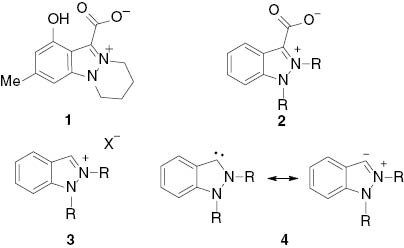 Scheme 1 Betaines, salts and N-heterocyclic carbenes of indazole.