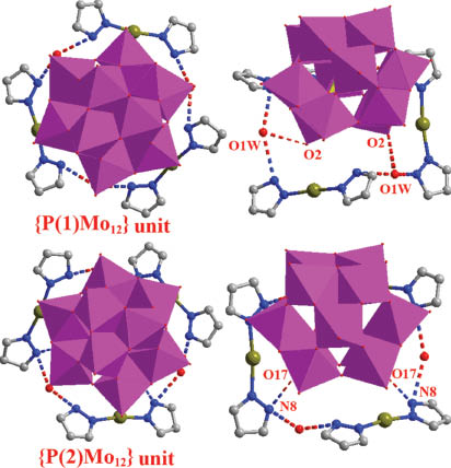 Fig. 3: Hydrogen bonding between crystallographically independent Keggin clusters and the macrocycle.