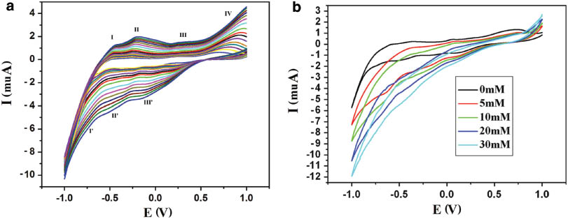 Fig. 7: (a) Cyclic voltammograms of the 1-CPE in 1 m H2SO4 solution at different scan rates (from inner to outer: 20, 30, 40, 50, 60, 80, 100, 120, 150, 200, 250, 300, 350, 400, 450, and 500 mV·s–1); (b) Cyclic voltammograms of the 1-CPE in 1 m H2SO4 solution containing H2O2 at different concentrations (potentials vs. SCE; scan rate: 60 mV s–1).