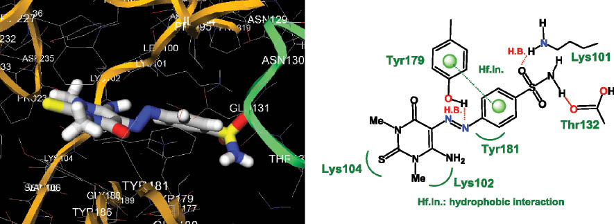 Fig. 3: Docked conformation of 26 showing three hydrogen bonds: Lys101 with the oxygen atom of the SO2 group, Thr132 with the NH group of the sulfonamide residue and OH of Tyr179 with the nitrogen atom of the azo group. In addition, a hydrophobic interaction was observed between the phenyl group of the benzenesulfonamido moiety and the aromatic ring of Tyr179 of the reverse transcriptase (RT) enzyme residues.