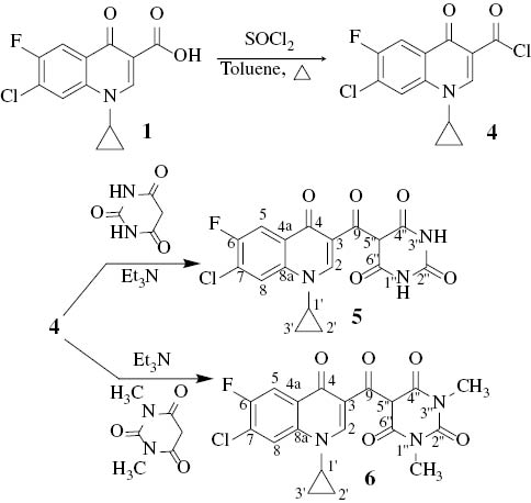 Scheme 3: Syntheses of the fluoroquinolene-barbiturate hybrids 5 and 6.