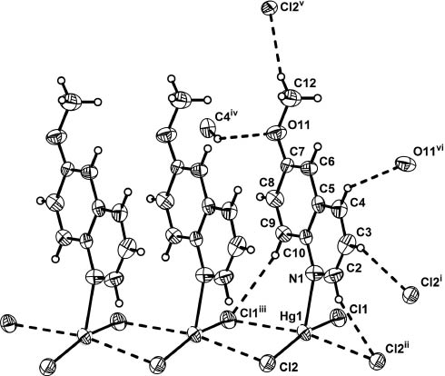 Fig. 2: Part of the crystal structure of Hg(6MQ)Cl2 showing the infinite HgCl2 chains and the weak intermolecular C–H···O/Cl interactions (denoted by dashed lines) with crystallographic labeling of the non-H atoms. Displacement ellipsoids for non-H atoms are drawn at the 50 % probability level. Crystal symmetry operations: (i) −x, −y, −z; (ii) x + 1, y, z; (iii) x − 1, y, z; (iv) −1 + x, −1/2 − y, 1/2 + z; (v) −x − 1, y − 1/2, −z + 1/2; (vi) x + 1, −y − 1/2, z − 1/2.