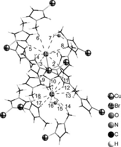 Fig.6: H bond network among four complexes in crystals of [Cu(MIm)4Br]Br · H2O (2). The H···Br bonds are numbered (with distances in Å): 1 = 2.988(1), 2 = 2.937(1), 3 = 2.881(1), 4 = 2.929(1), 5 = 2.899(1), 6 = 3.328(1), 7 = 3.193(1), 8 = 3.189(1), 9 = 2.885(1), 10 = 3.232(1), 11 = 3.000(1), 12 = 2.757(1), 13 = 3.118(1), 14 = 3.185(1), 15 = 3.336(1), 16 = 2.828(1), 17 = 2.773(1), and 18 = 3.259(1).