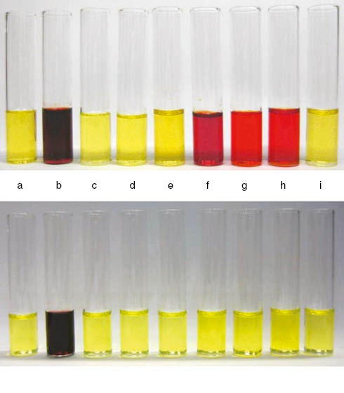 Fig. 1: Color change by the addition of various anions to receptors 1 (top) and 2 (bottom). a–f = no guest, F–, Cl–, Br–, I–, AcO–, BzO–, H2PO4–, HSO4–.
