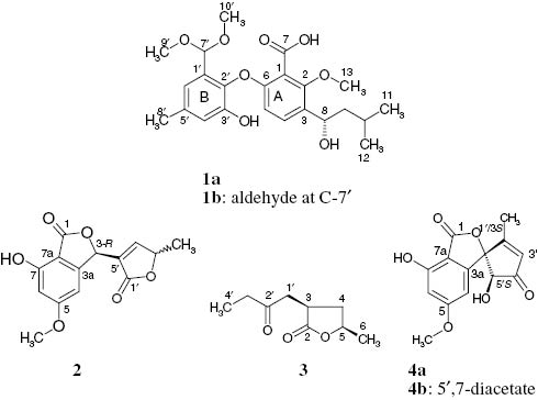 Fig. 1: Structural formula of compounds 1–4.