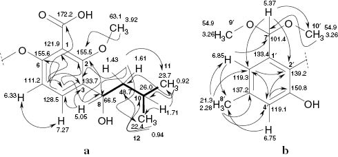 Fig. 2: H,H COSY (▬) and selected HMBC (→) correlations of (S)-tenellic acid B dimethyl acetal (1a, partial structures).