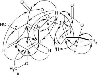 Fig. 3: H,H COSY (▬) and HMBC correlations (→, ↔) of (3R,3′R/S)-isotalarone (2).