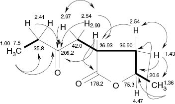 Fig. 5: H,H COSY (▬, ↔) and HMBC (→) correlations of (3R,5R)-cis-5-methyl-3-(2-oxobutyl)-dihydrofuran-2-one (3).