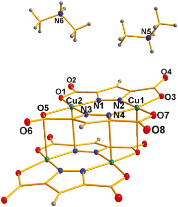 Fig. 1: Molecular structure of the complex [Me2NH2]4[Cu4(pdc)4]. Symmetry-independent non-hydrogen and non-carbon atoms are labeled. Displacement ellipsoids are drawn at the 30% probability level.
