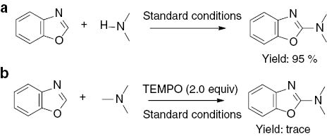 Scheme 2: Investigation of the reaction mechanism.