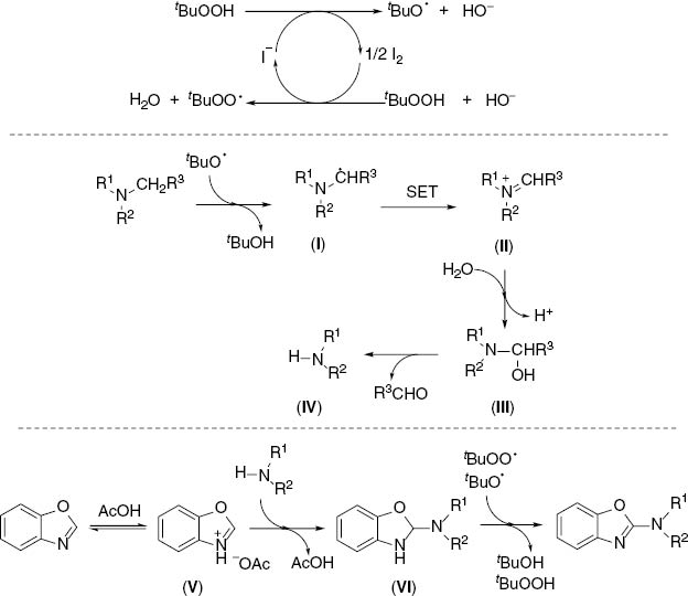 Scheme 3: Proposed mechanism for the amination reaction of benzoxazole.