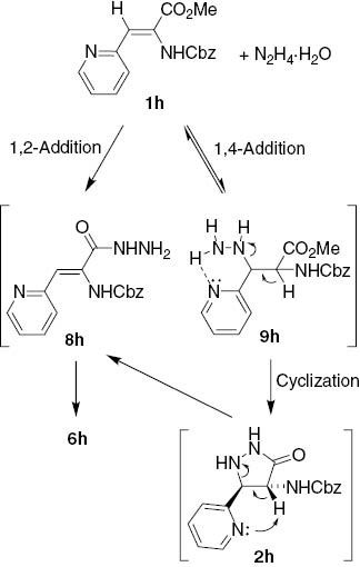 Scheme 5: Proposed rationale for chemoselective formation of hydantoin 6h.