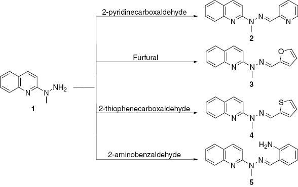 Scheme 1: Synthesis of hydrazones 2–5 (ethanol, reflux, 2–6 h).