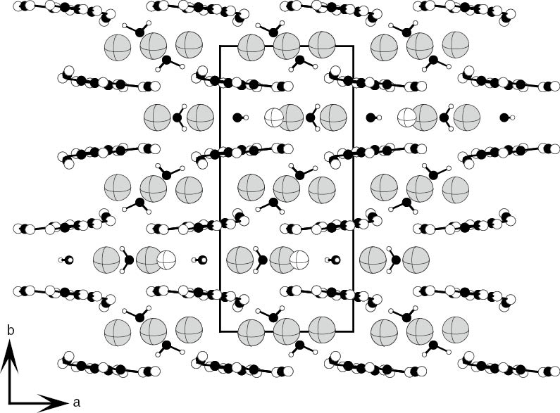 Fig. 3: Non-perspective view on the unit cell of NaA5[TCM]2 · 4 H2O parallel to the crystallographic c axis (C, black circles; N, white circles; O, black circles; H, white circles; Na, white ellipsoids; Rb or Cs, gray ellipsoids).