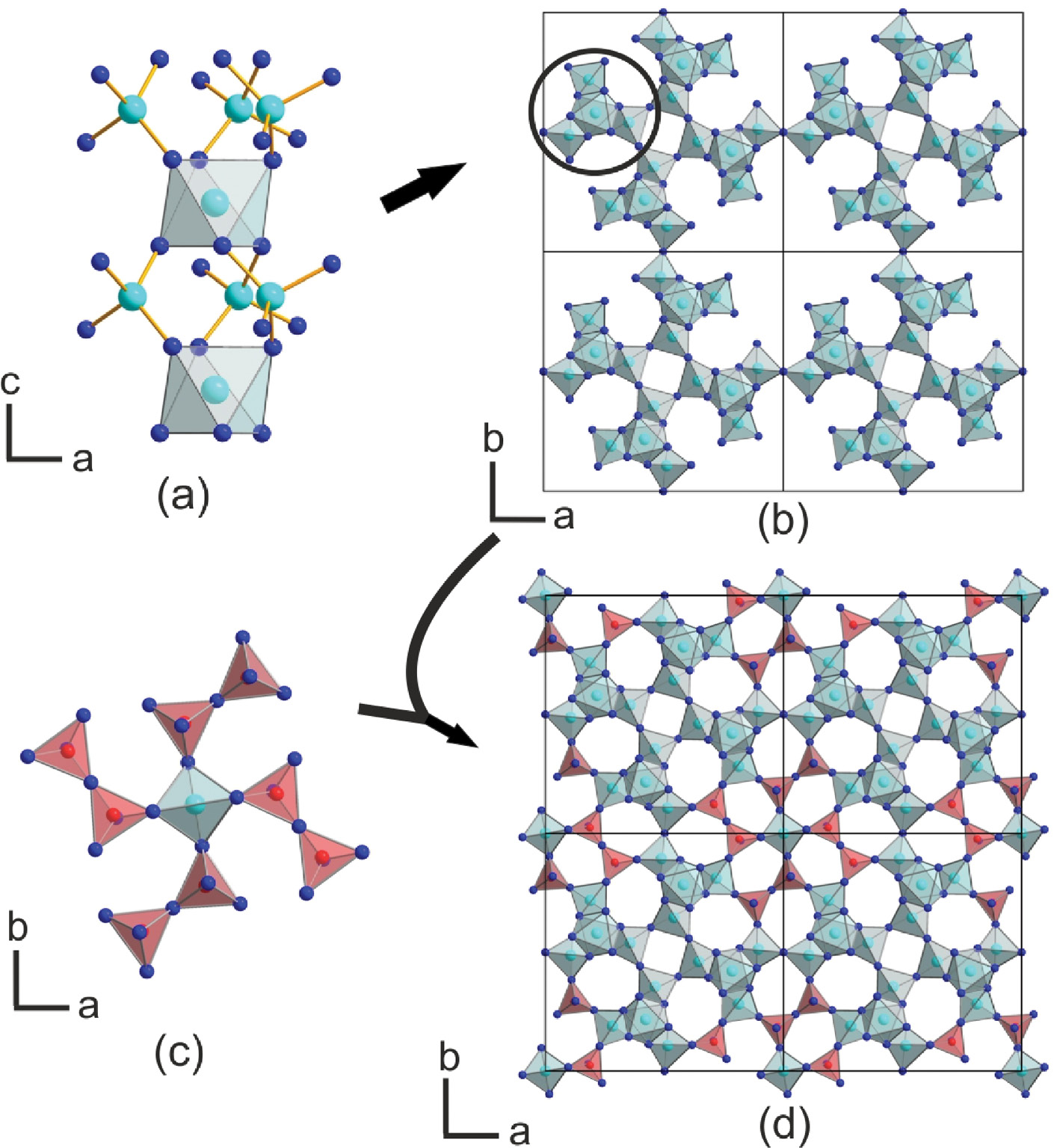Fig. 2: Scheme showing the [Ge4O12]n chain (a); construction of the [Ge4O10.5]n network (b); [Ge(B2O7)4] unit (c); the three-dimensional [Ge17B8O58]24– anionic structure (d).