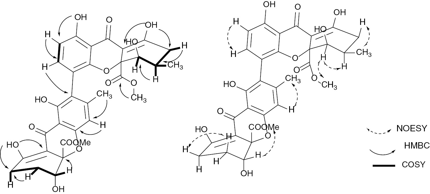 Fig. 2: Selected HMBC, and COSY, and NOESY correlations observed in compound 1.
