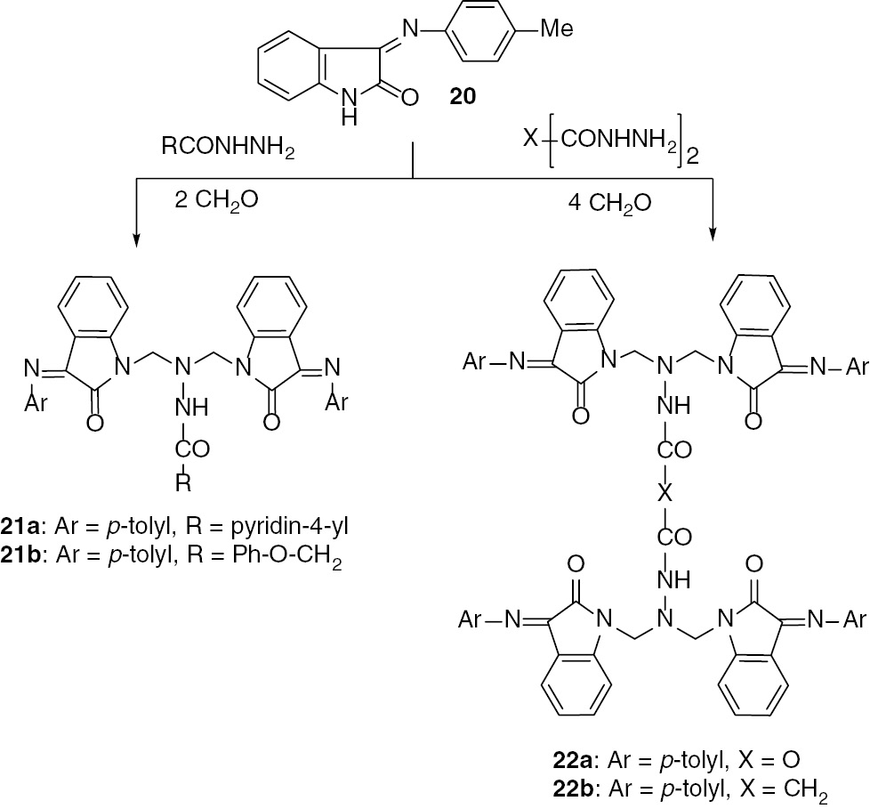 Scheme 5: Mannich reaction of 20 with hydrazides and dihydrazides.