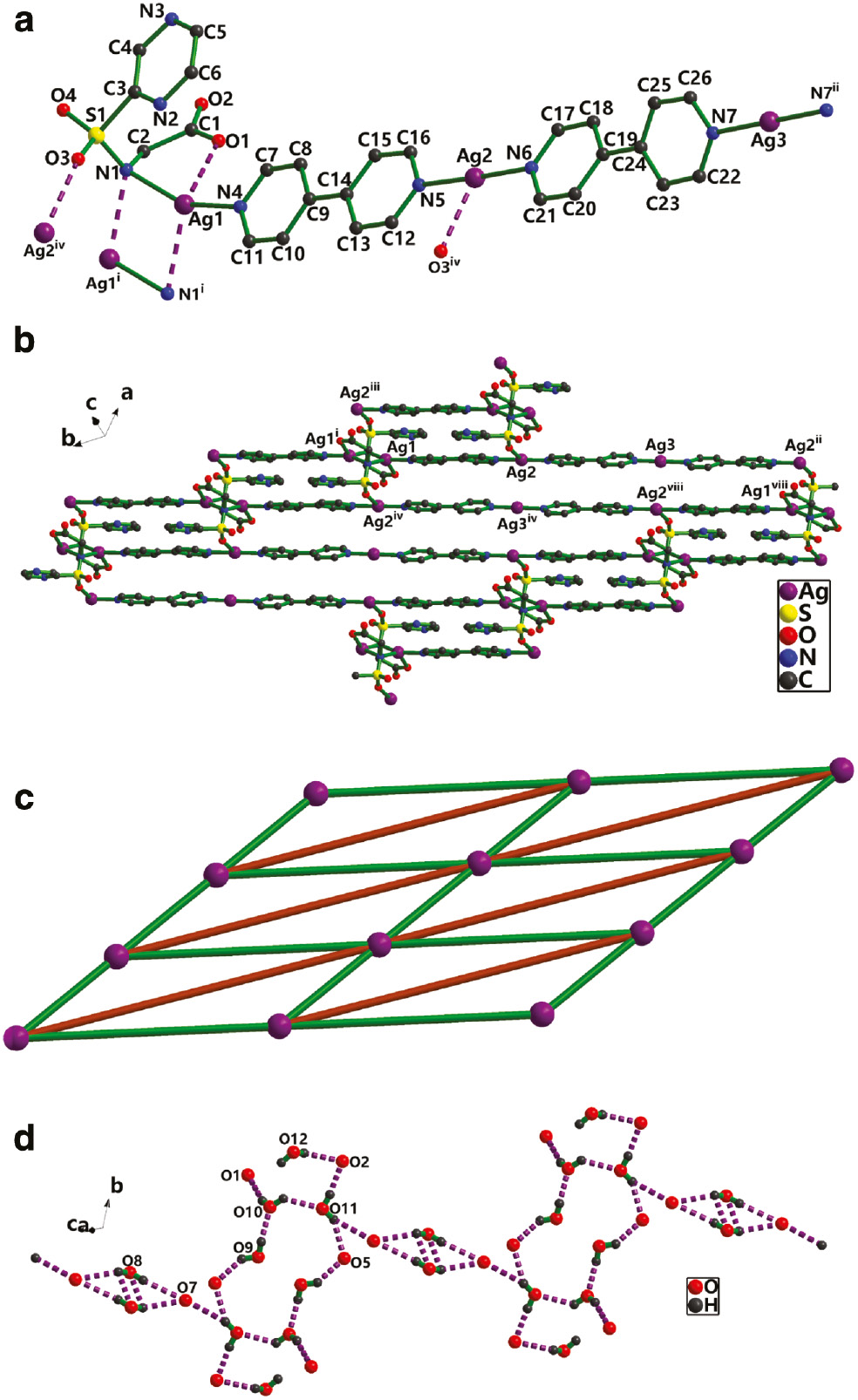 Fig. 2: (a) The coordination environment for Ag+ in 2 (symmetry codes: i: –x+1, –y, –z+1; ii: –x+2, –y+4, –z+2; iv: –x+1, –y+1, –z+1). (b) The Ag-pby chain in 2 (symmetry codes: i: –x+1, –y, –z+1; ii: –x+2, –y+4, –z+2; iv: –x+1, –y+1, –z+1; viii: x, y–1, z). (c) The simplified representation of the 2D (3, 6) grid network (green lines represent bpy ligand, brown lines represent Ag(bpy)2) chains. (d) View of O–H···O hydrogen bonded rings in 2.