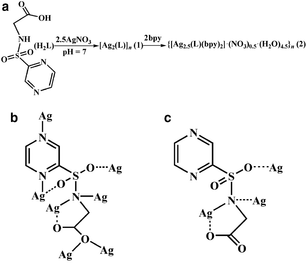 Scheme 1: (a) The synthesis for 1 and 2; (b) view of the coordination mode of the L2− ligand in 1; (c) view of the coordination mode of the L2− ligand in 2.