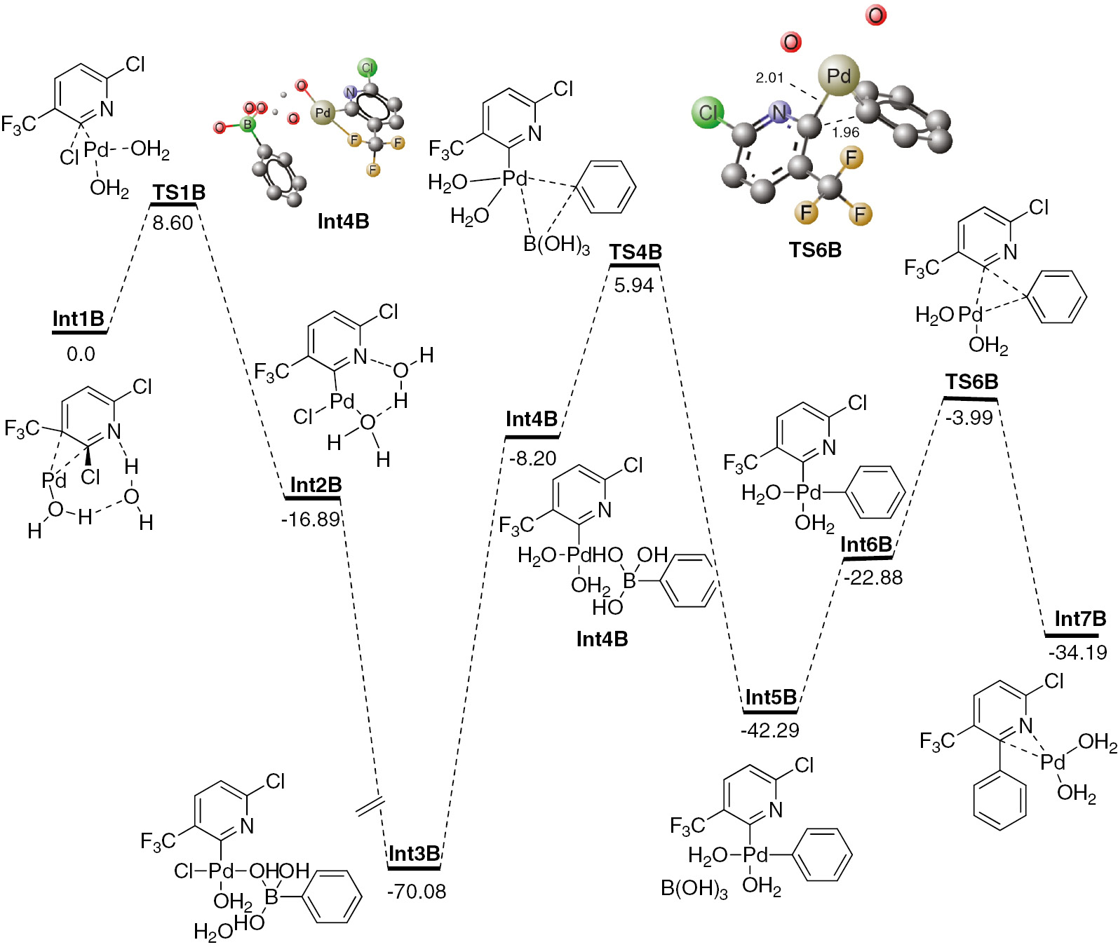 Fig. 3: Energy profile for three major steps of the Suzuki coupling starting from Int1B. All values are in kcal mol−1 and all bond lengths are in Ångströms. Unnecessary hydrogen atoms are removed for clarity.
