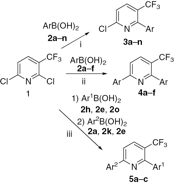 Scheme 1: Reagents and conditions: i, synthesis of 3a–n: 1 (1.0 equiv), 2a–n (0.9 equiv), K3PO4 (1.5 equiv), Pd(OAc)2 (2 mol%), H2O-DMF (1:1), 20°C, 12 h; ii, synthesis of 4a–f: 1 (1.0 equiv), 2a–f (2.2 equiv), K3PO4 (2.5 equiv), Pd(OAc)2 (2 mol%), H2O-DMF (1:1), 20°C, 12–16 h. iii, one-pot synthesis of 5a–e: 1 (1.0 equiv), 2h, 2e, 2o, 2e, 2b (1.0 equiv), K3PO4 (1.5 equiv), Pd(OAc)2 (2 mol%), H2O-DMF (1:1), 20°C, 8 h, (2) 2a, 2k, 2f (1.2 equiv), K3PO4 (1.5 equiv), Pd(OAc)2 (2 mol%), H2O-DMF (1:1), 50°C, 8 h.