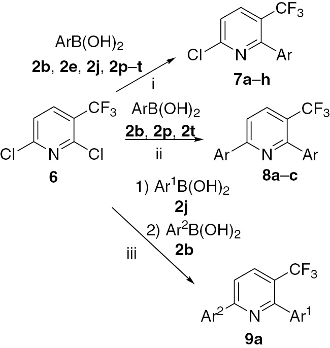 Scheme 3: Reagents and conditions: i, synthesis of 7a–h: 6 (1.0 equiv), 2b, 2e, 2j, 2p–t (0.9 equiv), K3PO4 (1.5 equiv), Pd(OAc)2 (2 mol%), H2O-DMF (1:1), 20°C, 8–12 h: ii, synthesis of 8a–c: 6 (1.0 equiv), 2b, 2p, 2t (2.2 equiv), K3PO4 (2.5 equiv), Pd(OAc)2 (2 mol%), H2O-DMF (1:1), 20°C, 12–16 h: iii, one-pot synthesis of 9a: 1), 6 (1.0 equiv), 2j (0.9 equiv), K3PO4 (1.5 equiv), Pd(OAc)2 (2 mol%), H2O-DMF (1:1), 20°C, 8 h, 2), 2b (1.2 equiv), K3PO4 (1.5 equiv), Pd(OAc)2 (2 mol%), H2O-DMF (1:1), 50°C, 8 h.