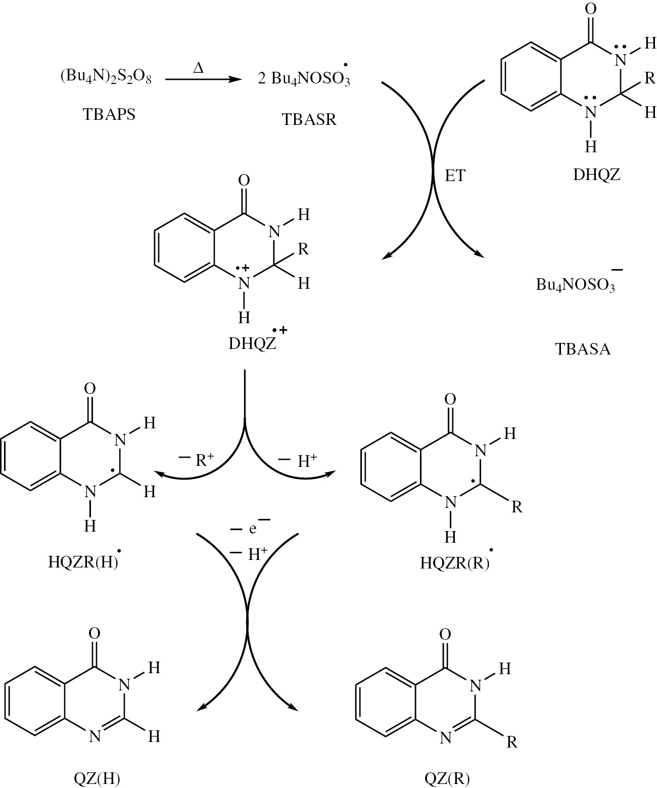 Scheme 3: The mechanism of oxidation of 2-substituted DHQZs using (Bu4N)2S2O8.