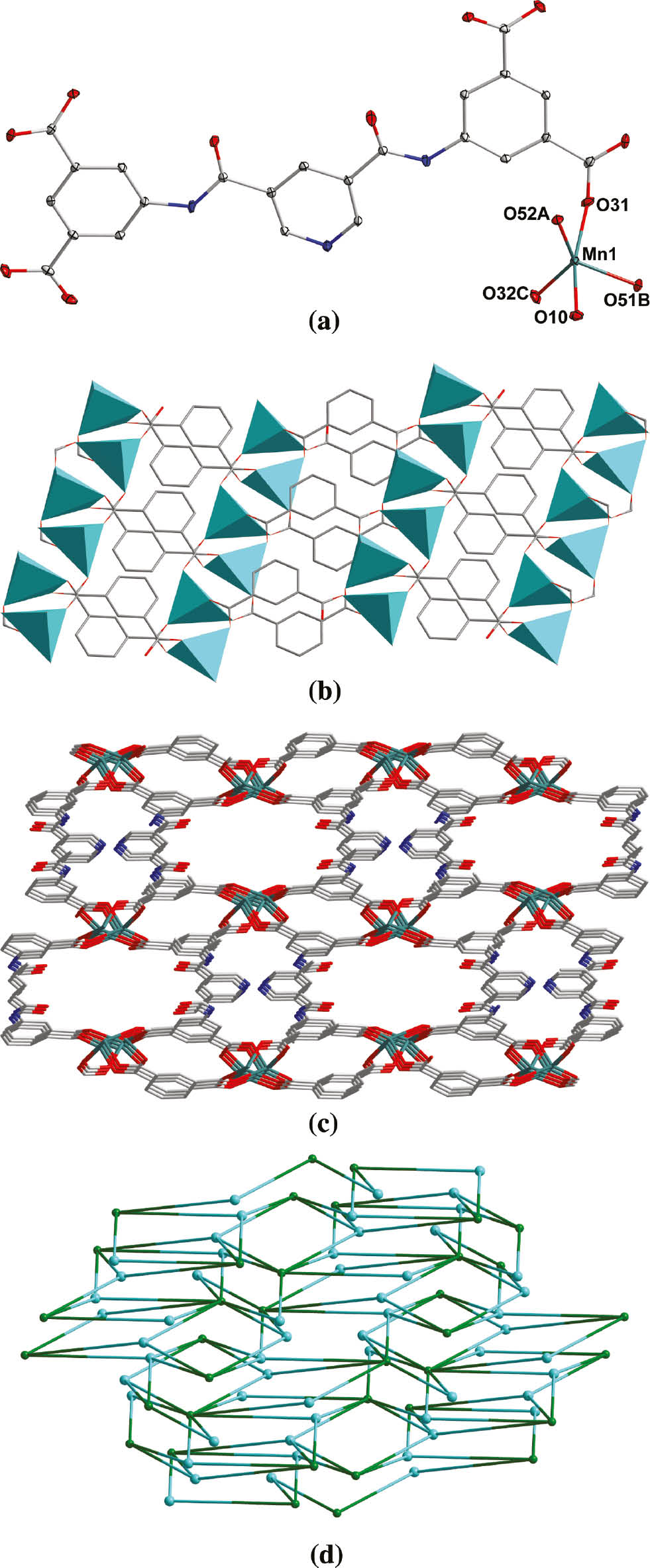 Fig. 1: (a) The coordination environment of Mn(II) in complex 1 with the ellipsoids drawn at the 30% probability level. Hydrogen atoms and lattice water molecules are omitted for clarity. (b) View of the 2D network in 1. (c) View of the 3D architecture of 1. (d) Topological view of the 3D framework of 1.