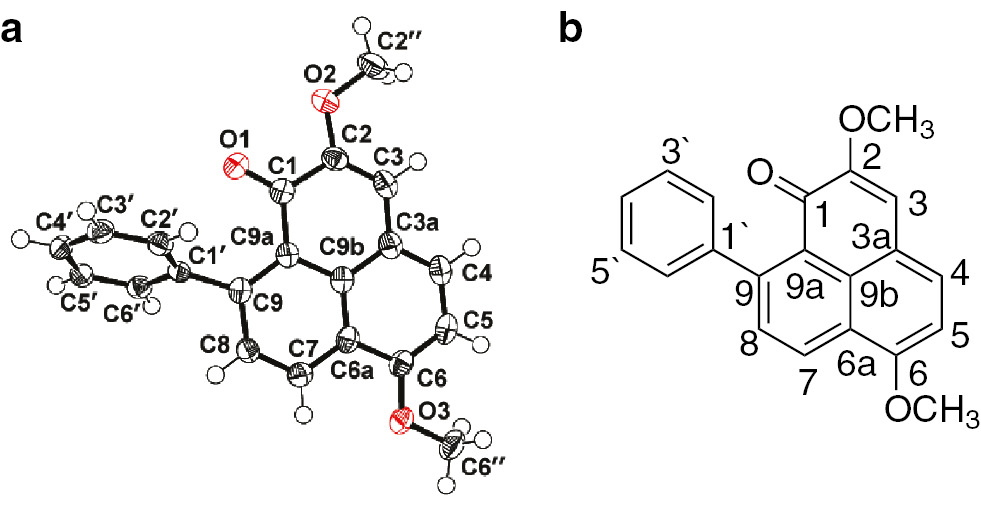 Fig. 3: Molecular structure of 3 in the crystal (a) and carbon numbering (b). Displacement ellipsoids are drawn at the 50% probability level, and H atoms as spheres with arbitrary radii.