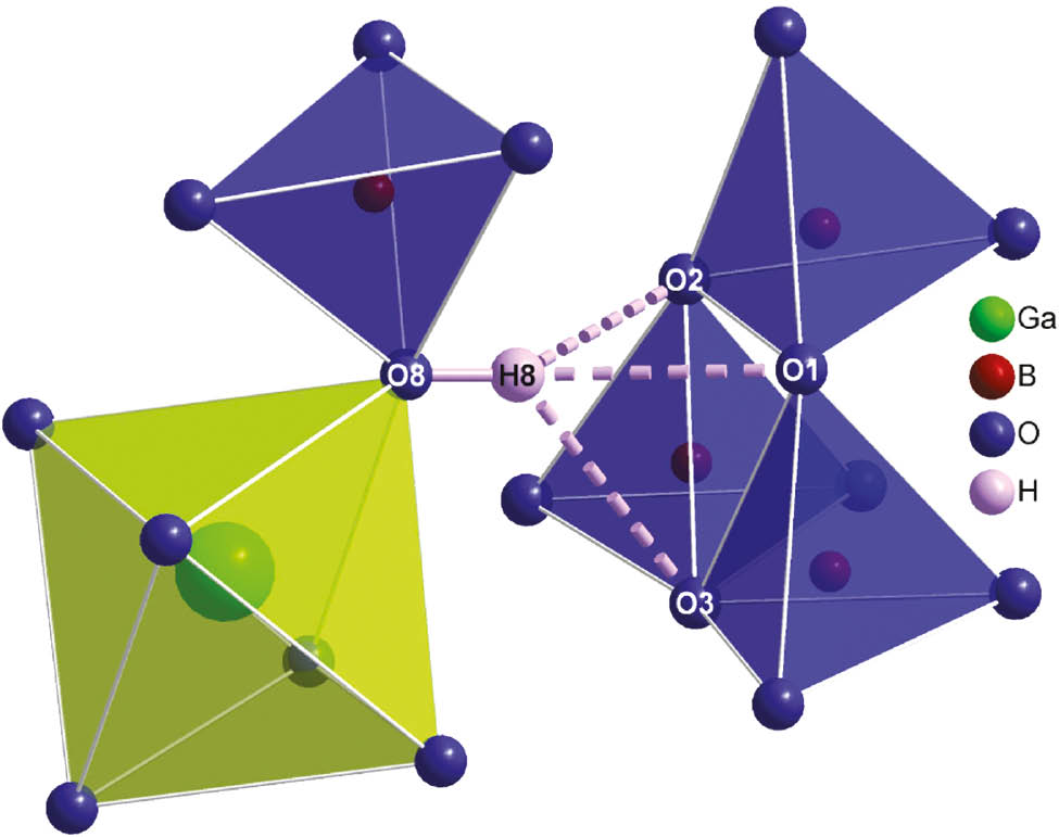 Fig. 6: Hydrogen bonds in Ga4In4B15O33(OH)3.