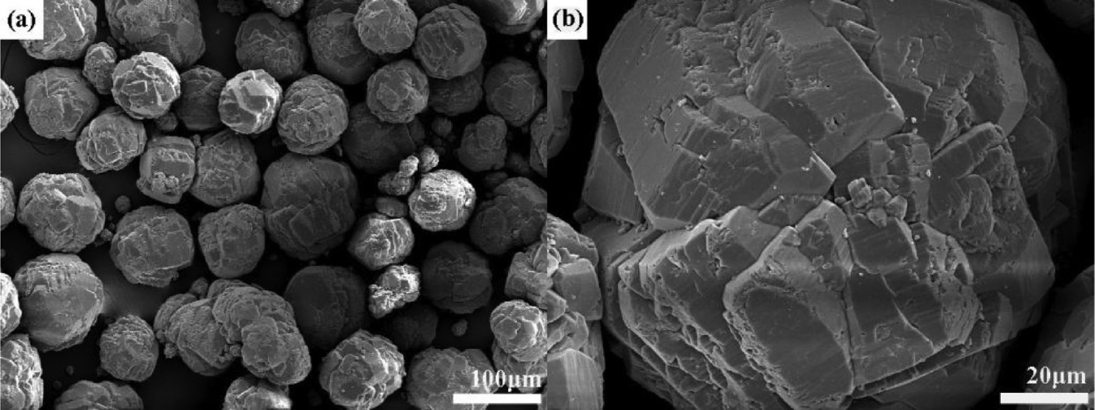 Fig. 2: SEM photographs of the commercial Al(OH)3 precursor. Picture (b) is the magnification of the selected area in picture (a).