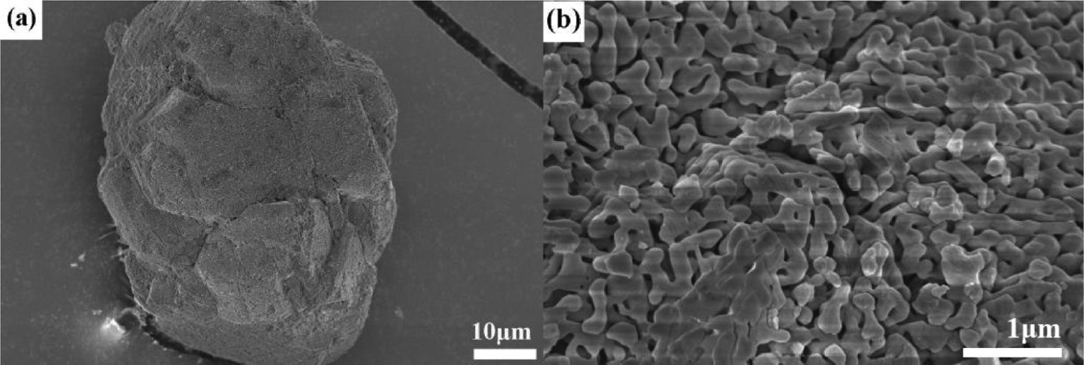 Fig. 6: SEM photographs of the α-Al2O3 sample obtained by the calcination of commercial Al(OH)3 at T=1300°C for 3 h. Picture (b) is the magnification of the selected area in picture (a).
