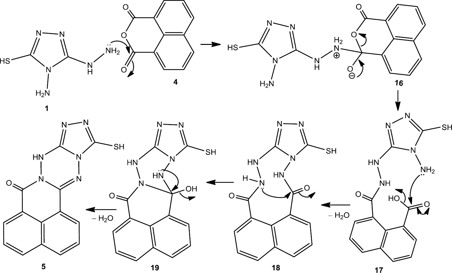 Scheme 3: A rational pathway for the formation of compound 5.