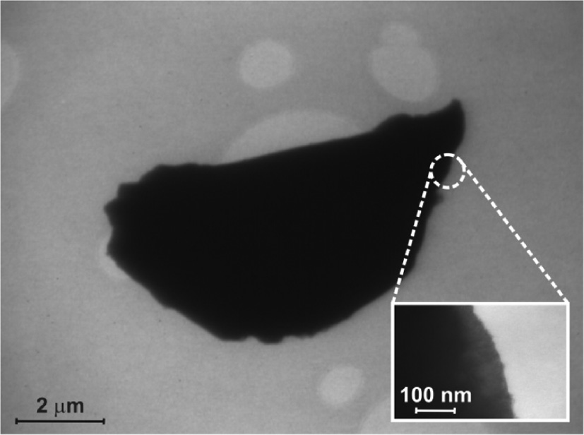 Fig. 4: TEM bright-field image of the investigated CeAu5Cd crystal. The area used to obtain SAED patterns is emphasized by a white circle and visualized by an enlarged view.
